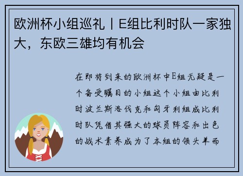 欧洲杯小组巡礼丨E组比利时队一家独大，东欧三雄均有机会
